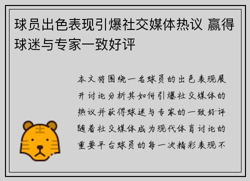 球员出色表现引爆社交媒体热议 赢得球迷与专家一致好评